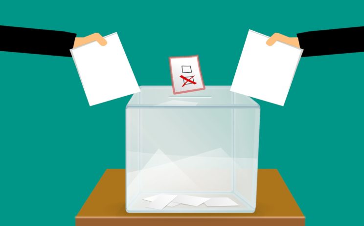 Read more about the article Hawai’i Votes: Civic Engagement for Families