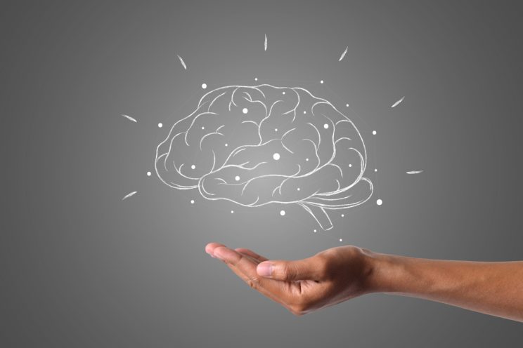 Read more about the article Brain Development