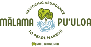 Mālama Puʻuloa. Restoring Abundance to Pearl Harbor. Hui o Hoʻohonua. Graphic of Kalo leaves and fish swimming.