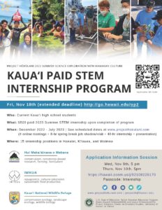 Flyer promoting internship