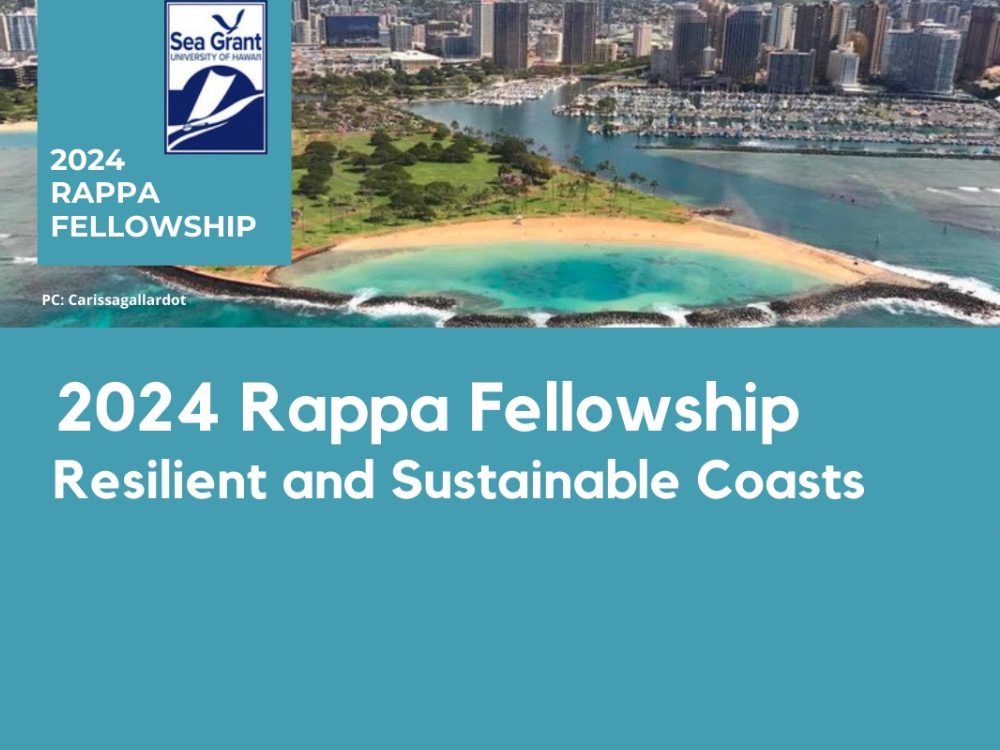 Peter J. Rappa Resilient and Sustainable Coasts Fellowship