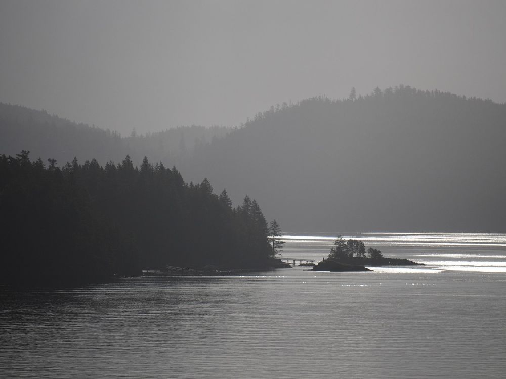 Ocean and forest